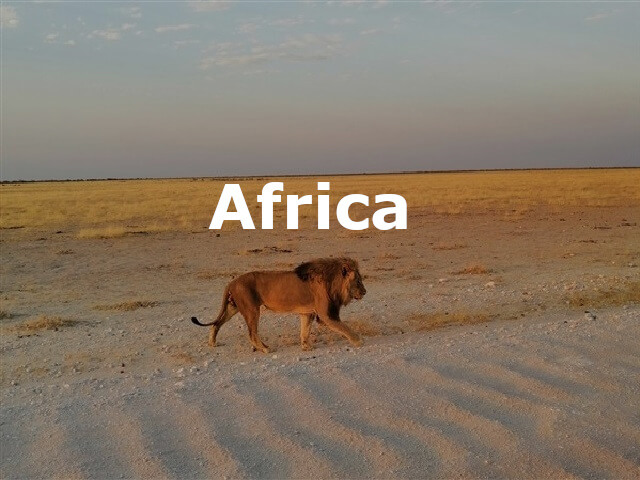 Africa blog posts header